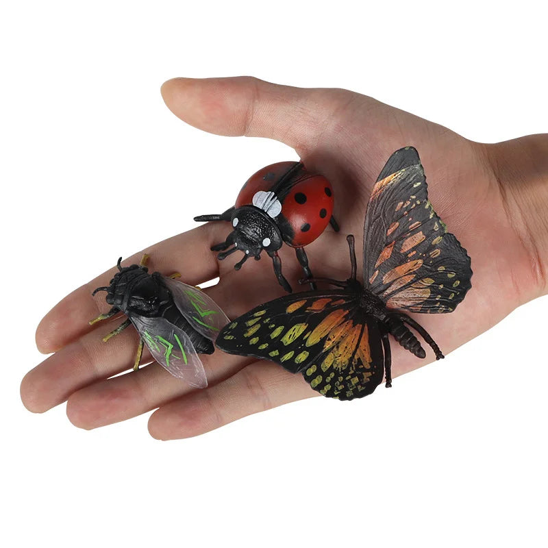 Children'S Simulation Insect Models