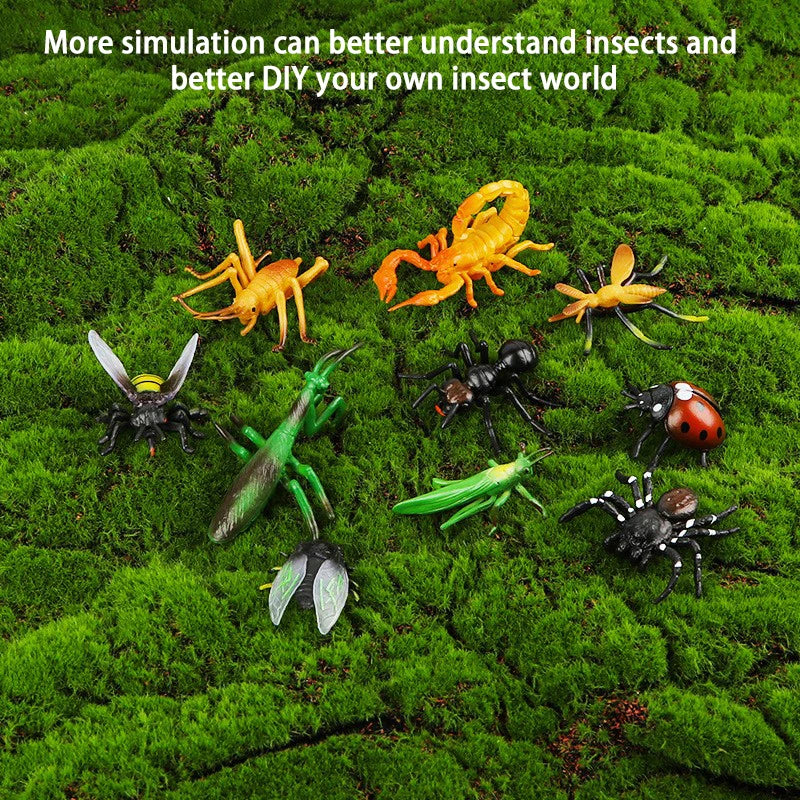 Children'S Simulation Insect Models
