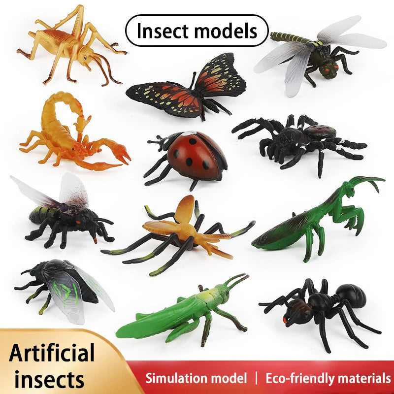 Children'S Simulation Insect Models