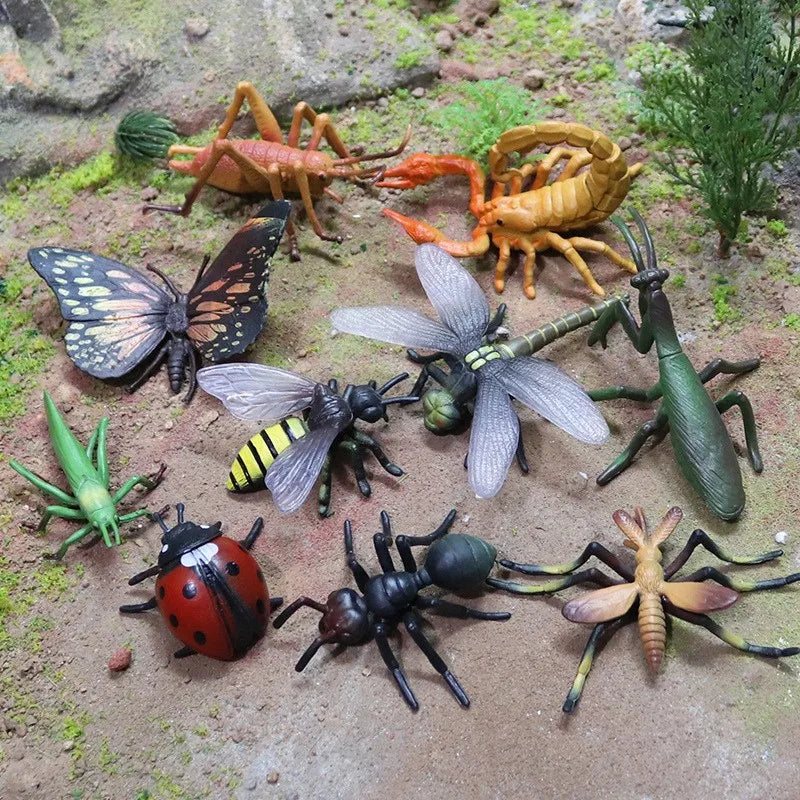 Children'S Simulation Insect Models